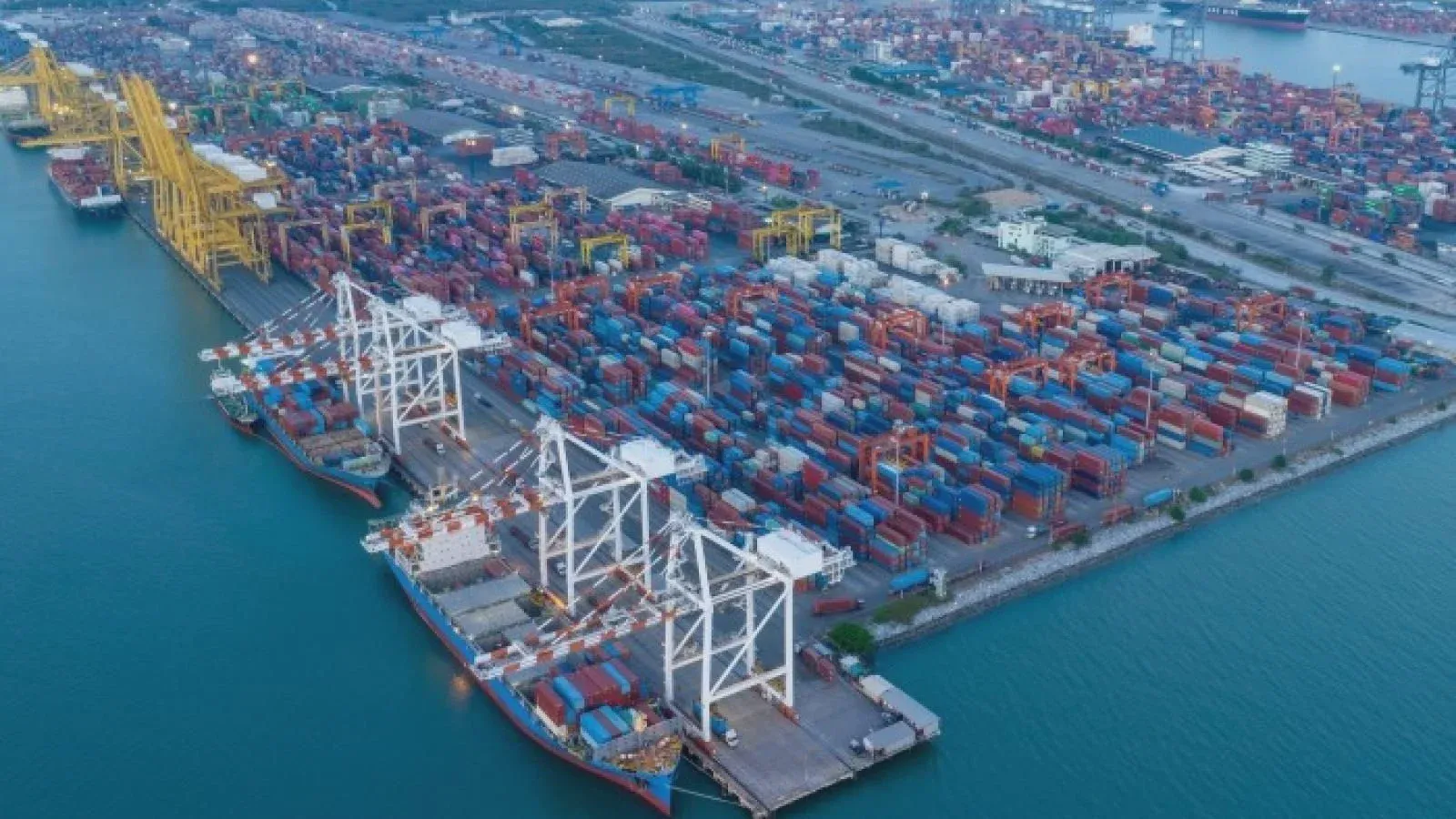 Golden Week 2026 Blank Sailings Impact